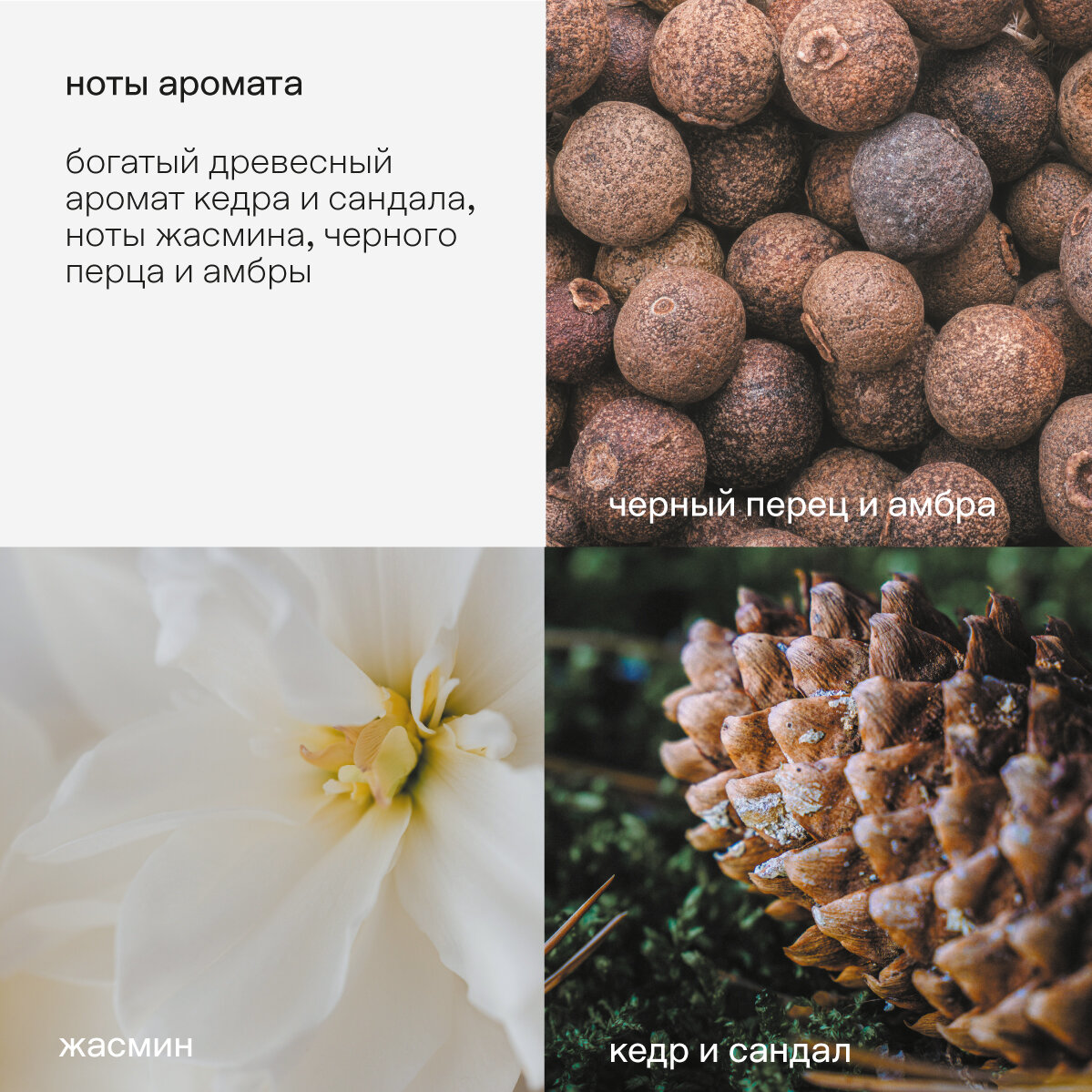 Профессиональное моющее средство SOFTENER FORI Кондиционер для всех типов тканей  от KLININ