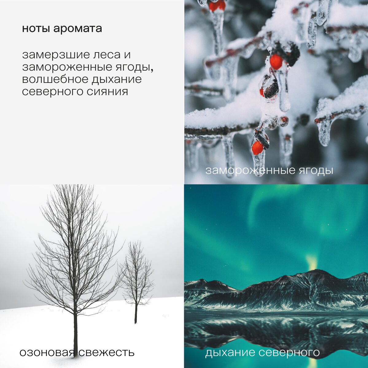 Профессиональное моющее средство SOFTENER NAPAPAJU Кондиционер для всех типов тканей  от KLININ