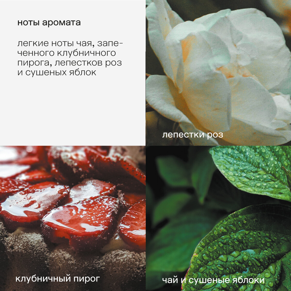 Профессиональное моющее средство SOFTENER KOTI Кондиционер для всех типов тканей  от KLININ